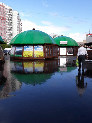 Милые грибочки у снесенного врагами рынкав Ново-Переделкино)